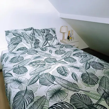 Apartament Vintage 67 Proche De Strasbourg *